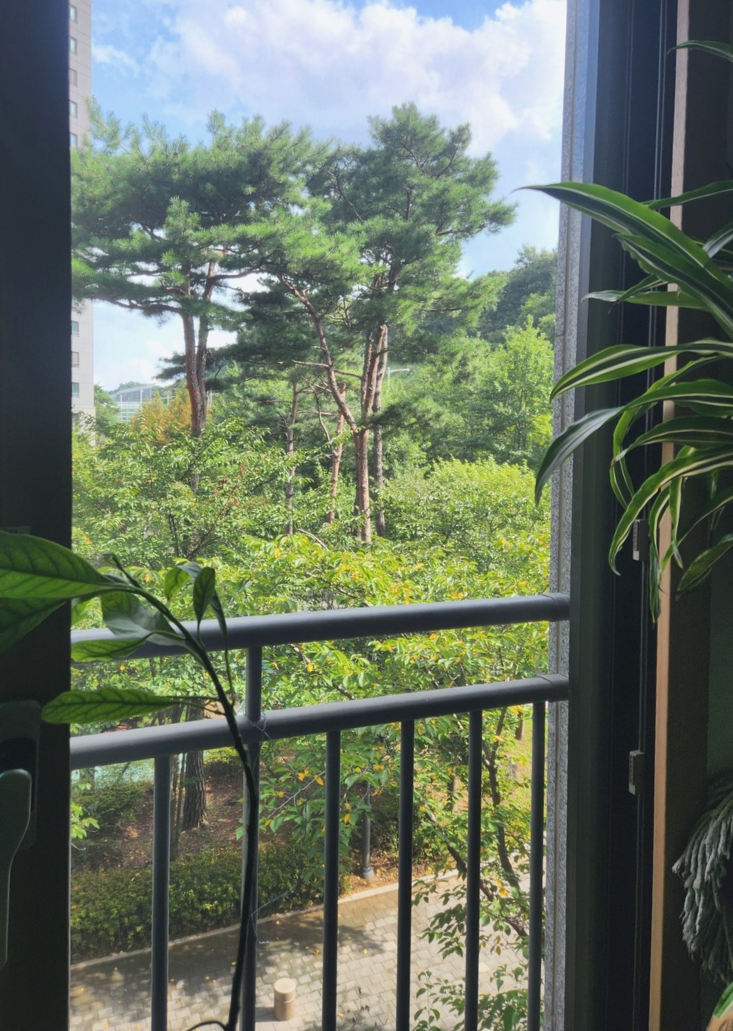 일동 방충망 시공 사진